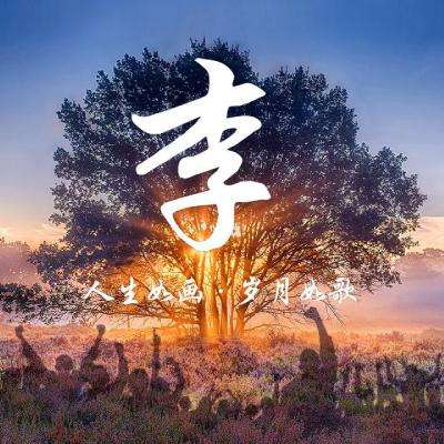 述行赋