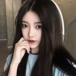 送菊